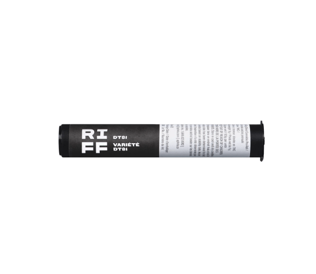 Dried Cannabis - SK - RIFF DT81 Pre-Roll - Format: - RIFF