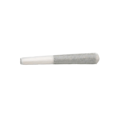 Dried Cannabis - MB - BOLD Root Beer Float Pre-Roll - Format: - BOLD