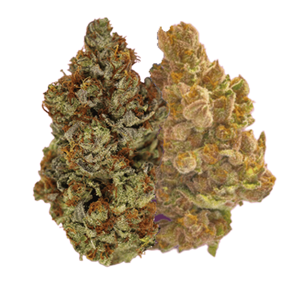 Dried Cannabis - MB - Thumbs Up Brand Day And Night Mixed Pack Flower - Format: - Thumbs Up Brand