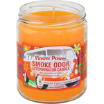 Smoke Odor Candle 13oz Flower Power - Smoke Odor