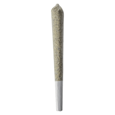 Extracts Inhaled - SK - BZAM Orange Apricot Jet Pack Infused Pre-Roll - Format: - BZAM