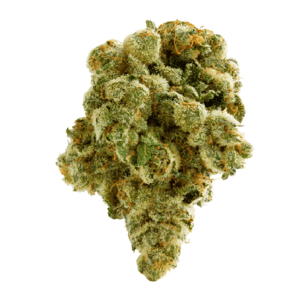 Dried Cannabis - MB - Spinach Peach Gelato Flower - Format: - Spinach