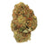 Dried Cannabis - AB - Daily Special Indica Flower - Grams: - Daily Special