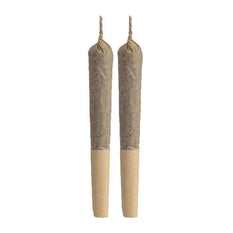 Dried Cannabis - SK - RE-Up Wappa Pre-Roll - Format: - Re-Up