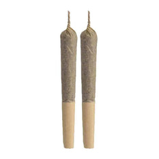 Dried Cannabis - SK - Captain's Choice Sativa Blend Pre-Roll - Format: - Captain's Choice