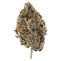 Dried Cannabis - MB - Ripe Flower Menta Fina Flower - Format: