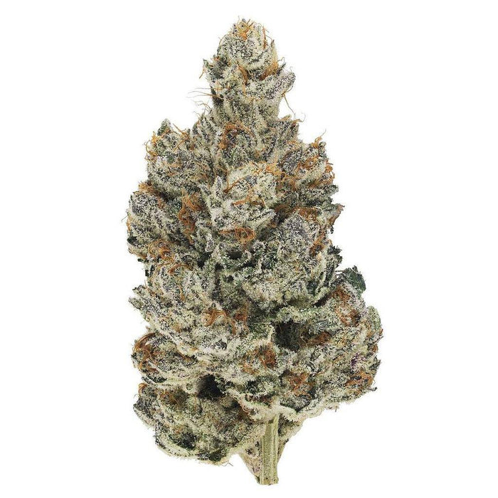 Dried Cannabis - MB - Broken Coast Quadra Headstash Flower - Grams: - Broken Coast