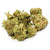 Dried Cannabis - AB - Good Supply Dealer's Pick Sativa Flower - Grams: