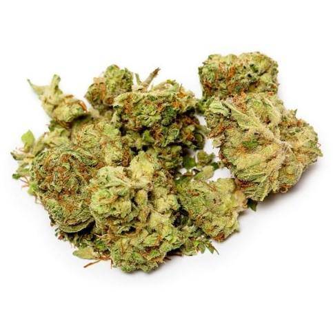 Dried Cannabis - SK - Good Supply Dealer's Pick Sativa Flower Flower - Format: - Good Supply