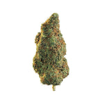 Dried Cannabis - MB - Edison Casa Blanca Flower - Grams: - Edison