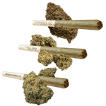 Dried Cannabis - MB - AHLOT Craft Select Pre-Roll - Format: - AHLOT