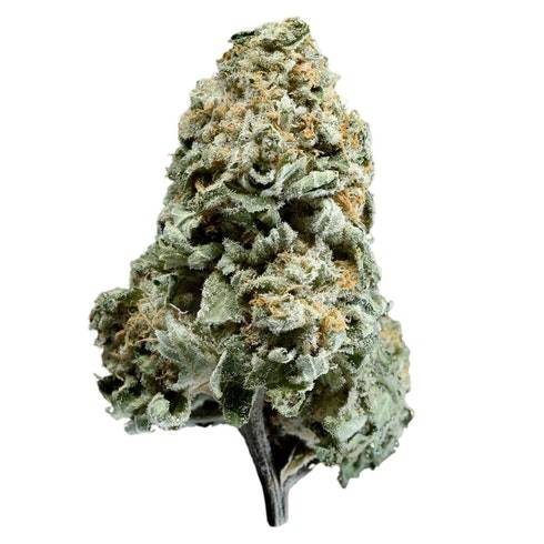 Dried Cannabis - MB - Bonify White Widow Flower - Grams: - Bonify