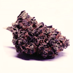 Dried Cannabis - SK - Tumbleweed Saskatoon Berry Flower - Format: - Tumbleweed