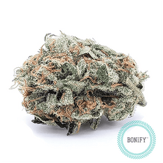 Dried Cannabis - SK - Bonify CBD Skunk Haze Flower - Format: - Bonify