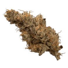 Dried Cannabis - MB - OGEN Dosi-GMOsi #13 Flower - Format: - OGEN