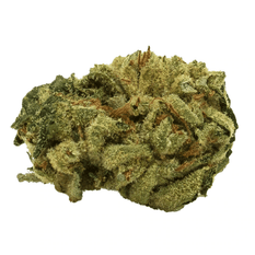 Dried Cannabis - MB - TwD Critical Rose Flower - Format: - TwD