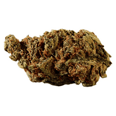 Dried Cannabis - MB - Versus BC God Bud Flower - Format: