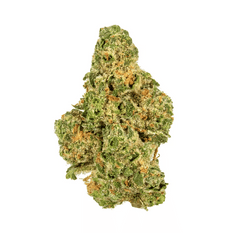 Dried Cannabis - MB - Cannabis 4 Good 4 The Oceans Flower - Format: - Cannabis 4 Good