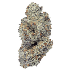 Dried Cannabis - MB - 7Acres Chocolate Cream Cookies Flower - Format: - 7Acres