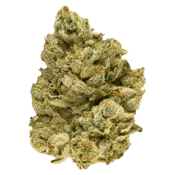 Dried Cannabis - SK - Broken Coast EmergenZ Flower - Format: - Broken Coast