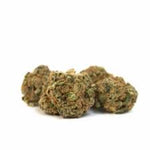 Dried Cannabis - SK - Tweed Donegal Flower - Format: - Tweed