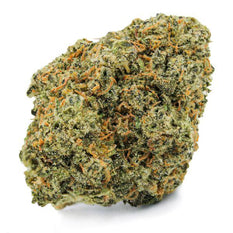 Dried Cannabis - SK - Cove Lime Green Crush Rise Reserve Flower - Format: - Cove