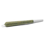 Dried Cannabis - SK - Spinach White Widow Pre-Roll - Format: - Spinach