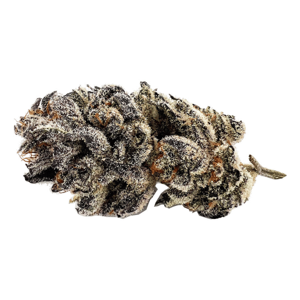 Dried Cannabis - MB - CannJah Pharm Patient Grown Tectonic Truffle Flower - Format: - CannJah Pharm