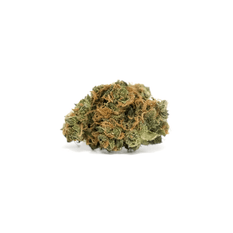 Dried Cannabis - SK - Tweed Argyle Flower - Format: - Tweed
