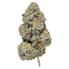 Dried Cannabis - SK - Ripe Flower Red Bullz Flower - Format: - Ripe Flower