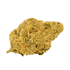 Dried Cannabis - MB - Tweed Lemon Meringue Pie Flower - Format: - Tweed